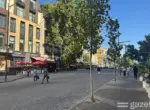 В Узбекистане начнут озеленять тротуары и махалли, зелёные зоны приблизят к местам проживания