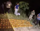 Около 95 кг гашиша обнаружили в поле в Кибрае. Стоимость партии могла превысить $10 млн