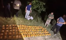 Около 95 кг гашиша обнаружили в поле в Кибрае. Стоимость партии могла превысить $10 млн