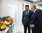 Инвестор из США планирует расширить завод по переработке овощей в Кашкадарье