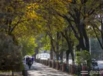 Сентябрь был одним из самых тёплых за все годы наблюдений в Узбекистане