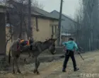 Более миллиона семей в Узбекистане могут получить по 1 млн сумов к отопительному сезону