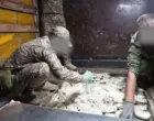 Более 52 кг наркотиков пытались ввезти в Узбекистан из Афганистана