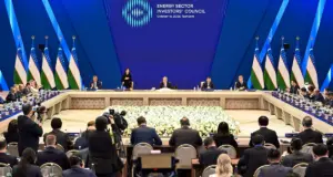 Саида Мирзиёева возглавит Совет инвесторов в топливно-энергетическом секторе Узбекистана