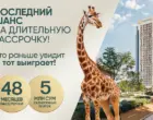 Tashwell: стартовал второй этап продаж — рассрочка до 48 месяцев с платежами от 5 млн сумов