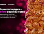 «Одна площадка — много возможностей»: как Wildberries помогает Lucento масштабировать продажи