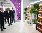 От судебных споров до новых инвестиций. Президент поручил поддержать Sulton Tex Group