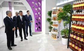 От судебных споров до новых инвестиций. Президент поручил поддержать Sulton Tex Group