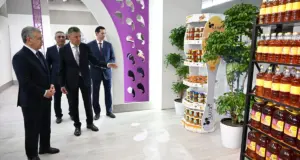 От судебных споров до новых инвестиций. Президент поручил поддержать Sulton Tex Group