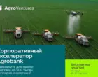 Стартапы могут привлечь до 500 тысяч долларов инвестиций от AgroVentures