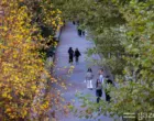 Сухая и тёплая погода сохранится в выходные, на севере ночью будет ниже нуля