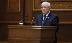 Финансирование преступных организаций и незаконные бои. Сенат одобрил новые уголовные нормы