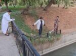 В Ташкенте выясняют причину массовой гибели рыбы в канале Салар